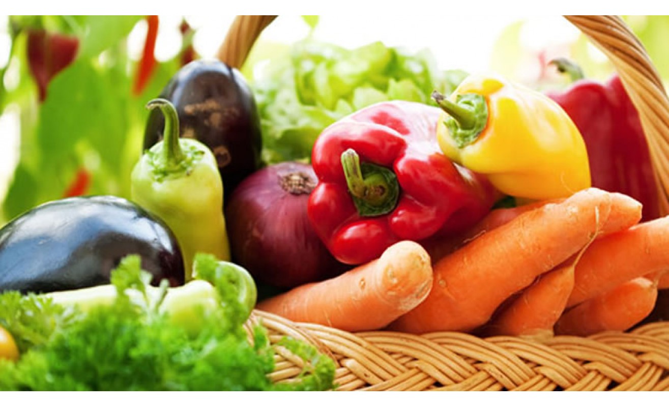 Coloque seu texto aqui - 